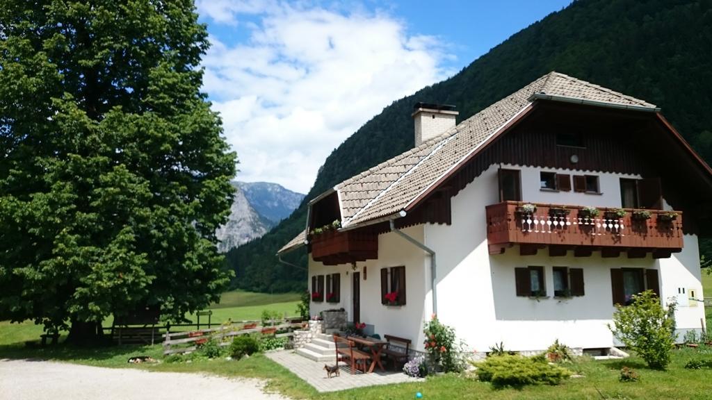 Farm Stay Juvanija Solčava Eksteriør bilde