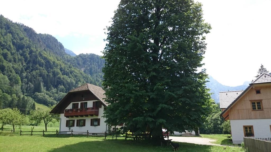 Farm Stay Juvanija Solčava Eksteriør bilde