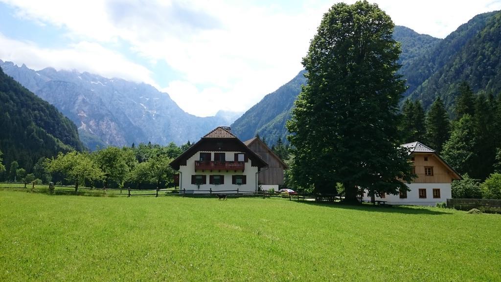 Farm Stay Juvanija Solčava Eksteriør bilde
